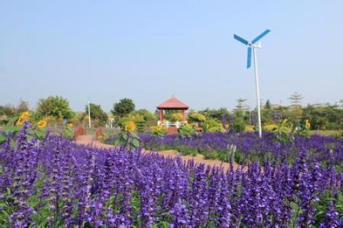 花都香草世界水上乐园_广州花都香草世界门票多少钱