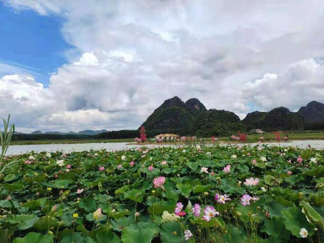 普者黑风景区_普者黑风景区好玩吗