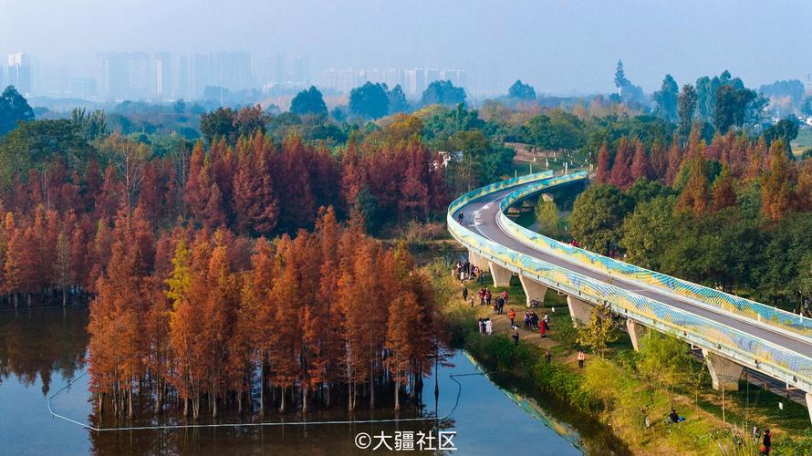 白鹭湾湿地公园-白鹭湾湿地公园水杉在哪里