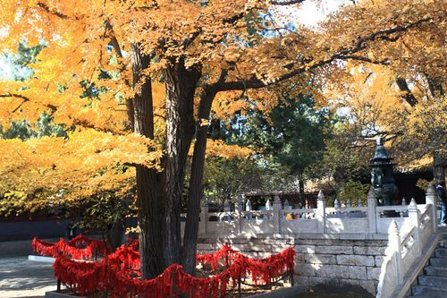 怀柔红螺寺今天开放吗_北京怀柔红螺寺官网